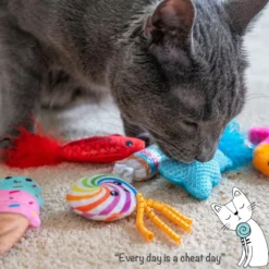 Petstages 6-pack Kattleksaker Sweet Treats