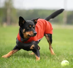 Pomppa Jumppa Fleecetäcke