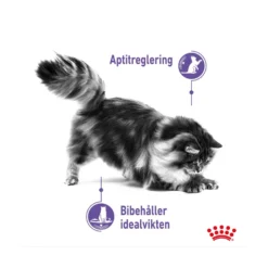 Royal Canin Appetite Control Gravy