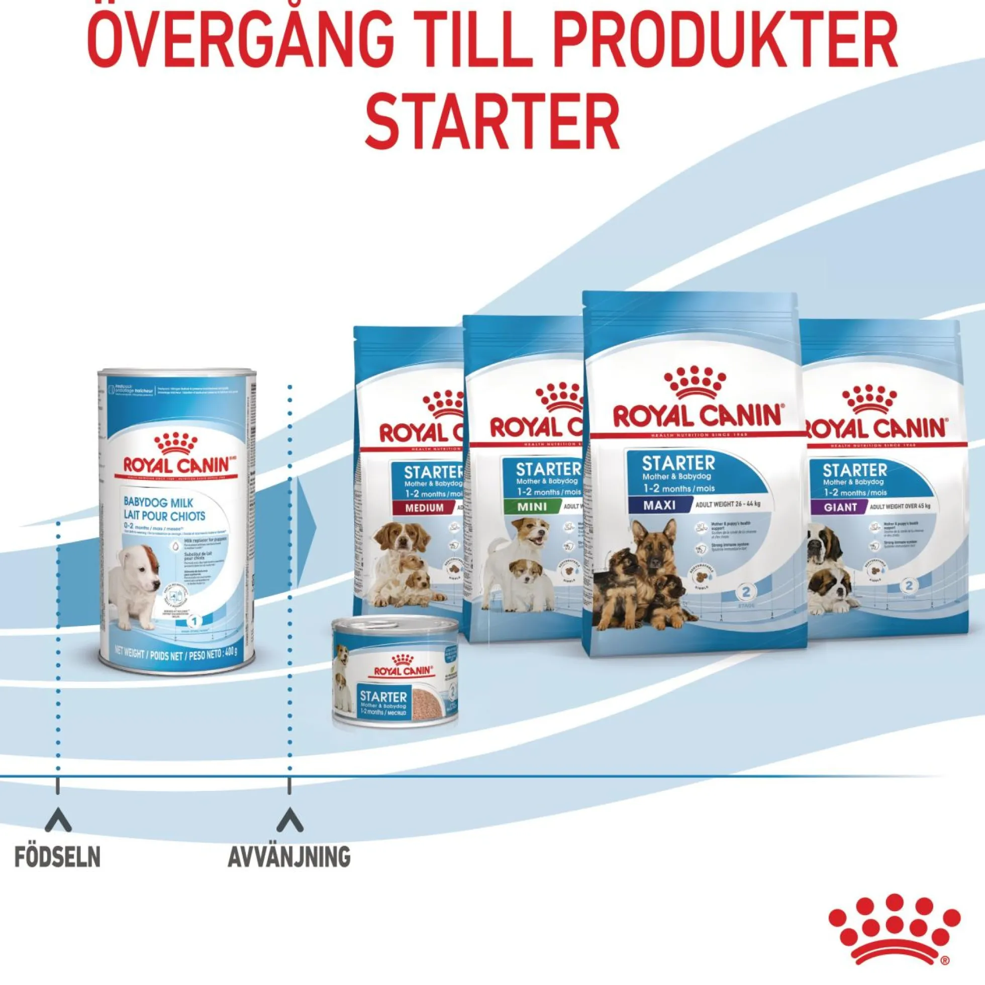 Royal Canin Babydog Milk
