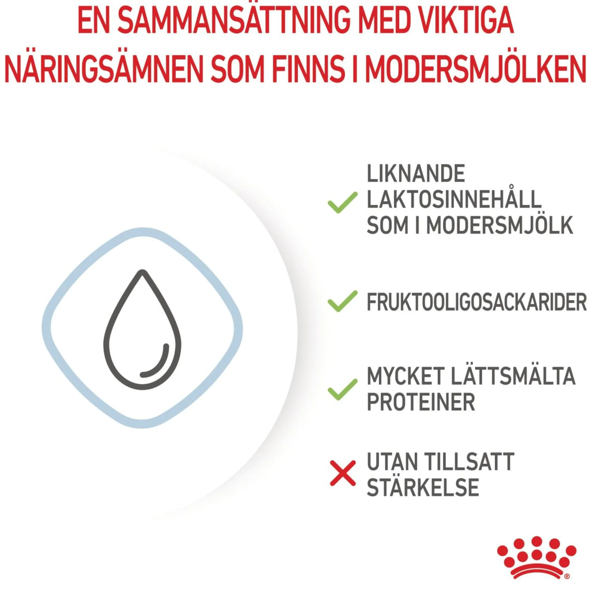 Royal Canin Babydog Milk