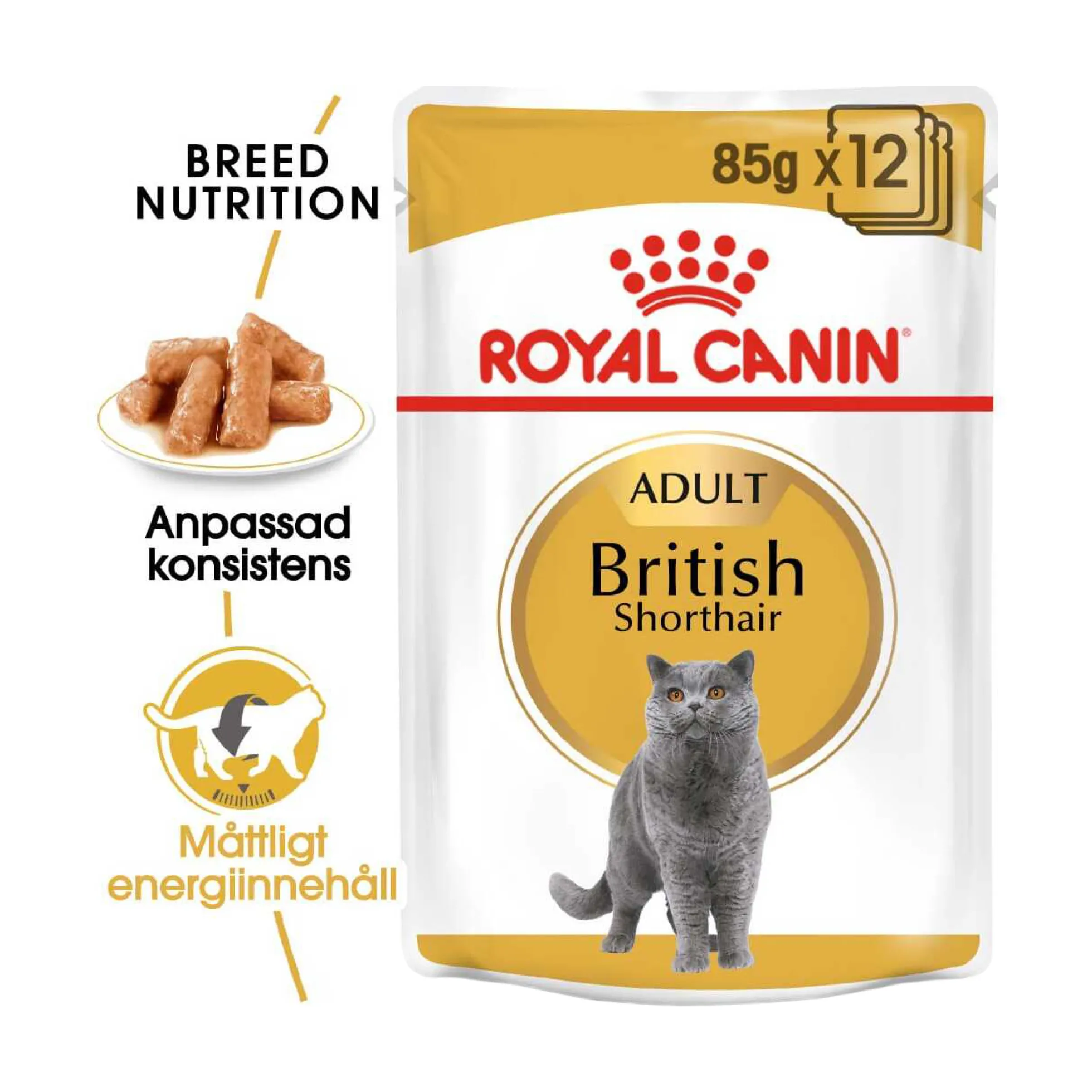 Royal Canin British Shorthair Wet