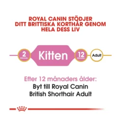 Royal Canin British Shorthair Kitten