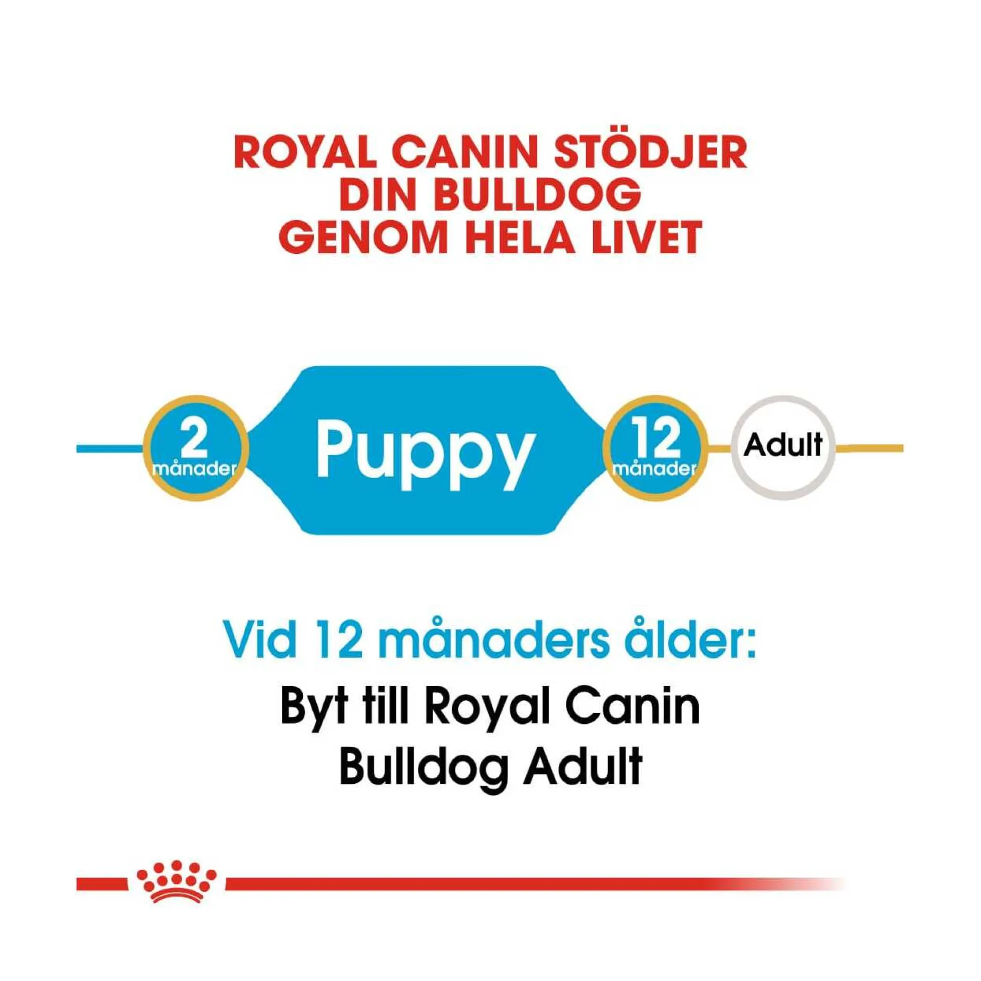 Royal Canin Bulldog Puppy