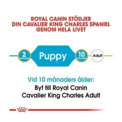 Royal Canin Cavalier King Charles Puppy