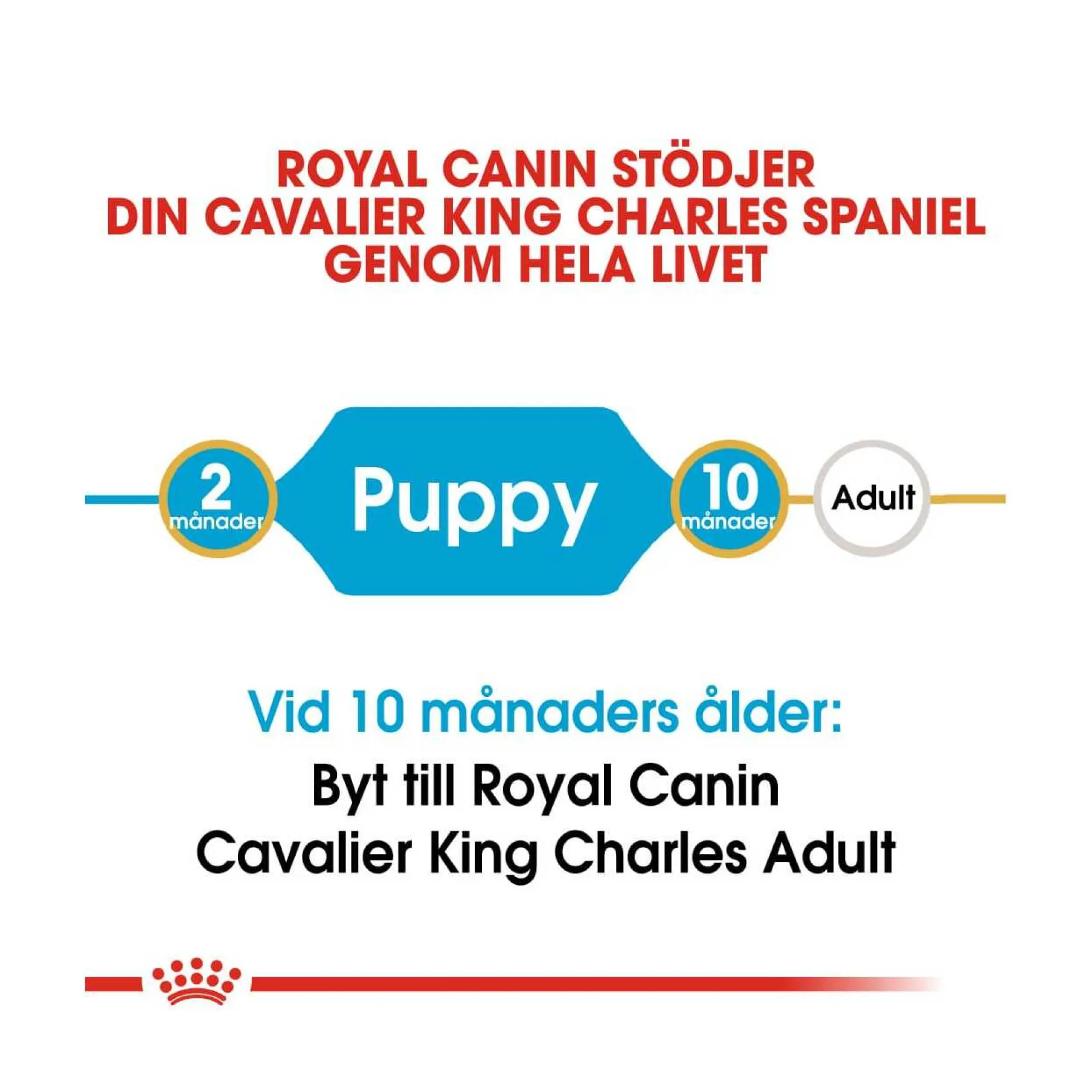 Royal Canin Cavalier King Charles Puppy