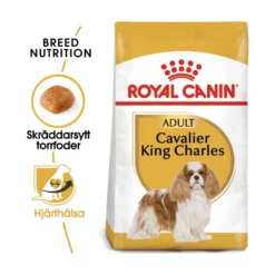 Royal Canin Cavalier King Charles Adult