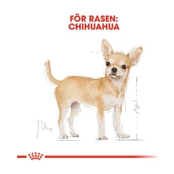 Royal Canin Chihuahua Adult Wet
