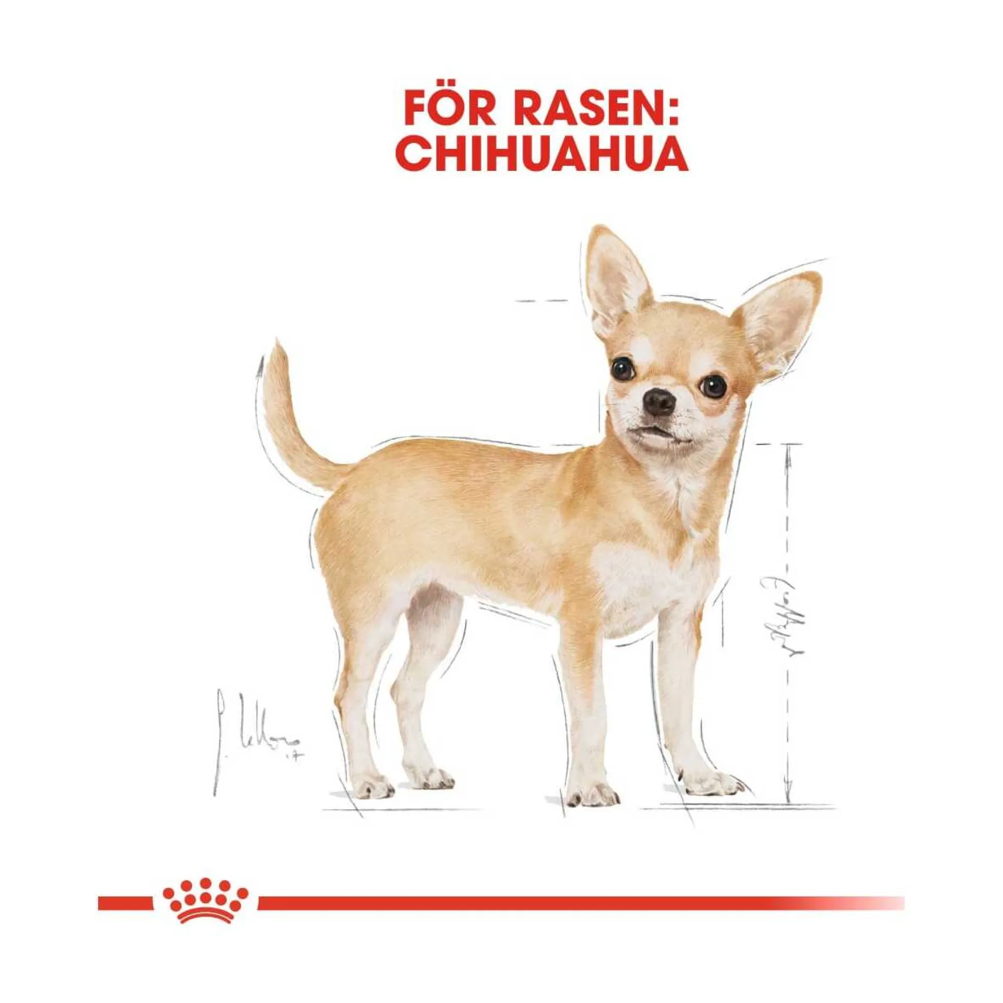 Royal Canin Chihuahua Adult Wet