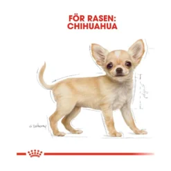 Royal Canin Chihuahua Puppy