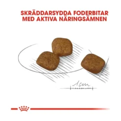 Royal Canin Coat Care Mini