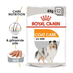 Royal Canin Coat Care Wet