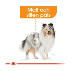 Royal Canin Coat Care Wet