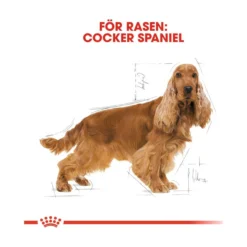 Royal Canin Cocker Adult