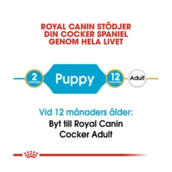 Royal Canin Cocker Puppy