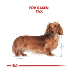 Royal Canin Dachshund Adult