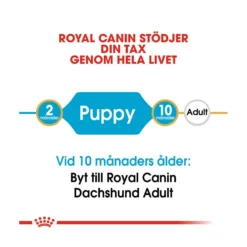 Royal Canin Dachshund Puppy