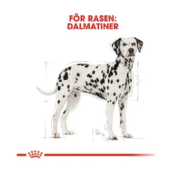 Royal Canin Dalmatian Adult
