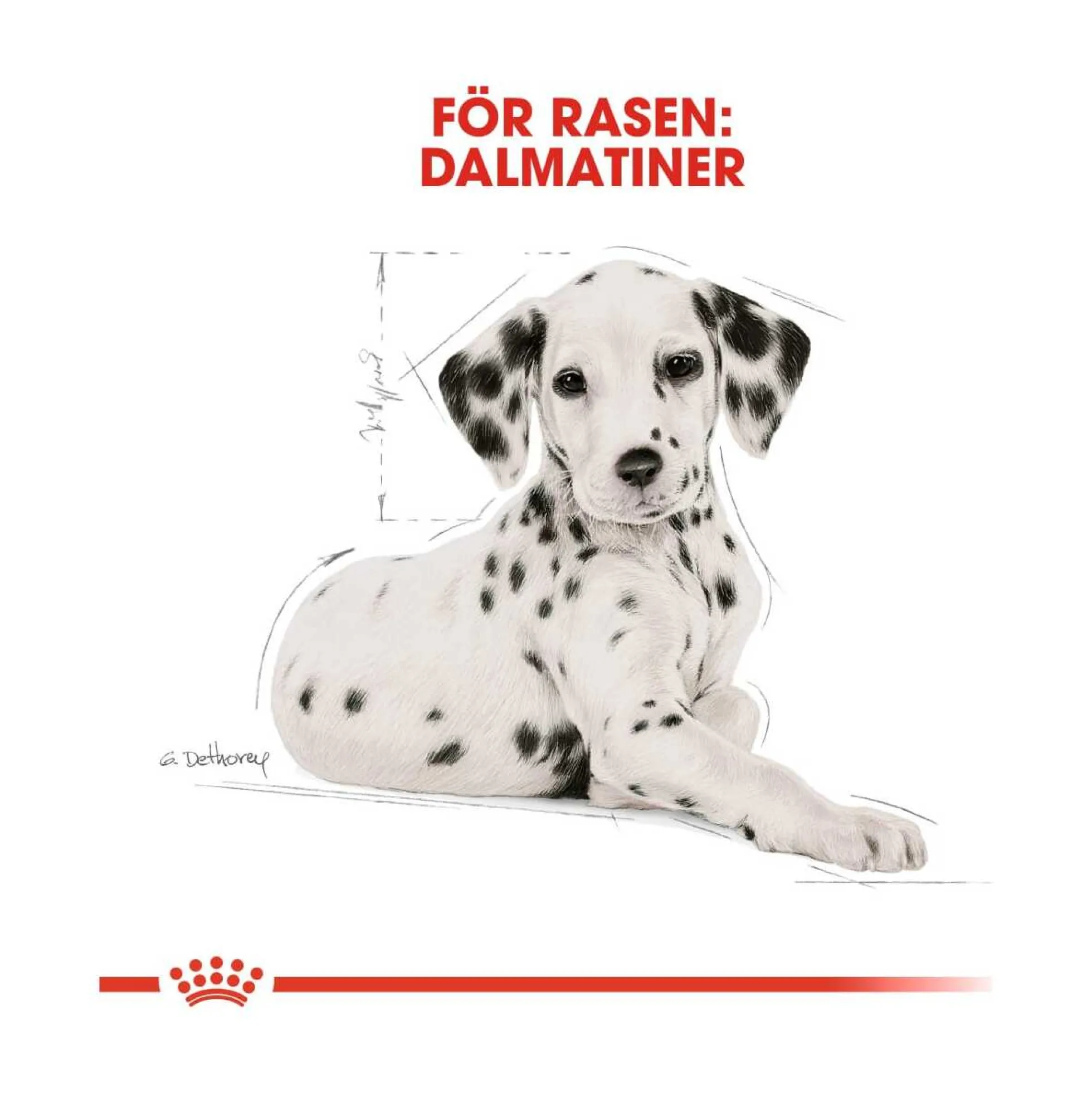 Royal Canin Dalmatian Puppy