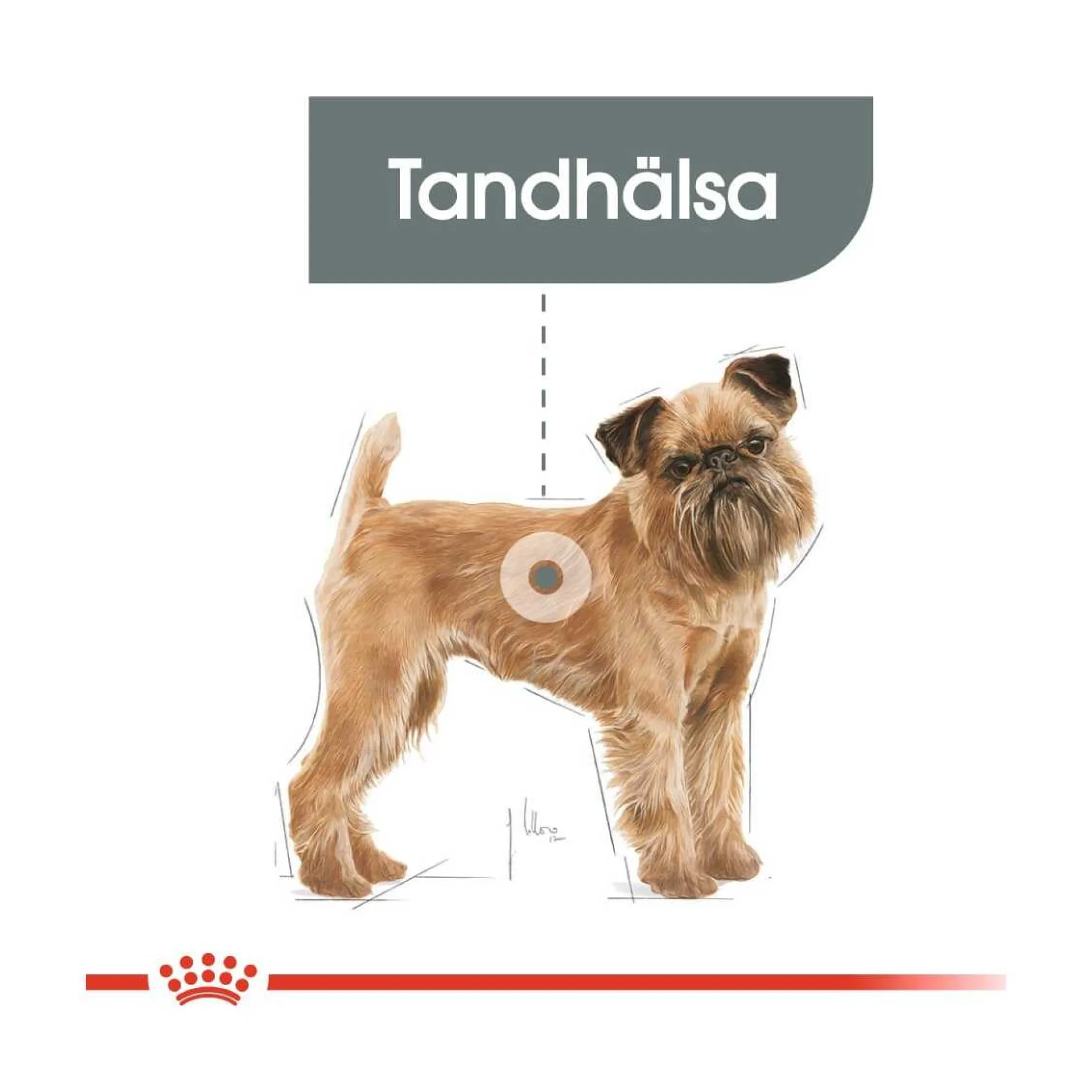 Royal Canin Dental Care Mini