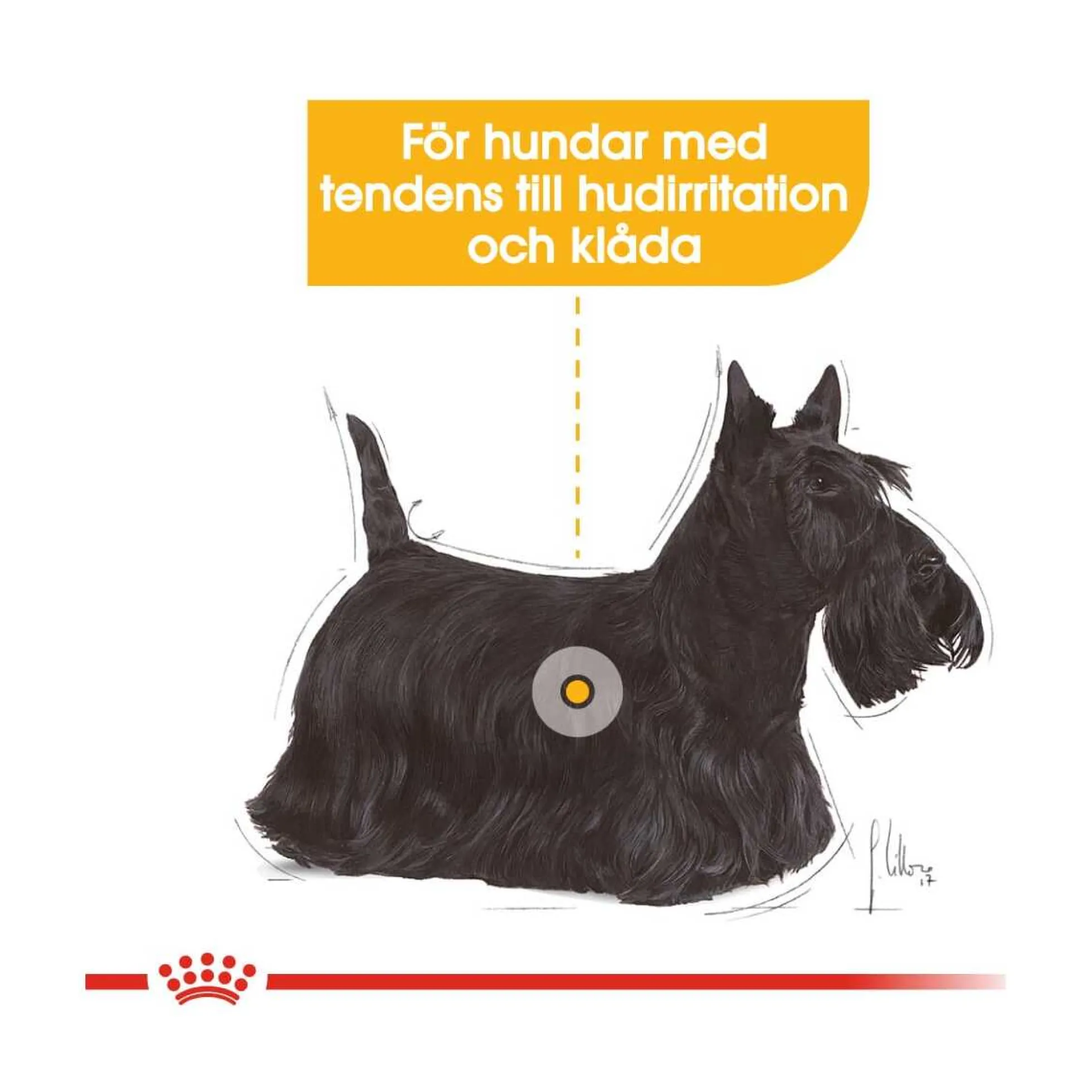 Royal Canin Dermacomfort Wet