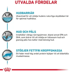 Royal Canin Derma Skin & Coat Torrfoder för Katt