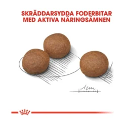 Royal Canin Digestive Care Medium