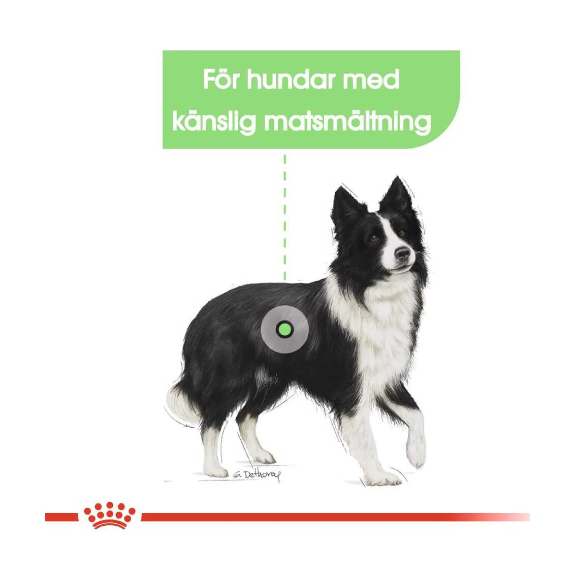 Royal Canin Digestive Care Medium