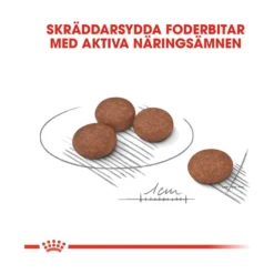 Royal Canin Digestive Care Mini