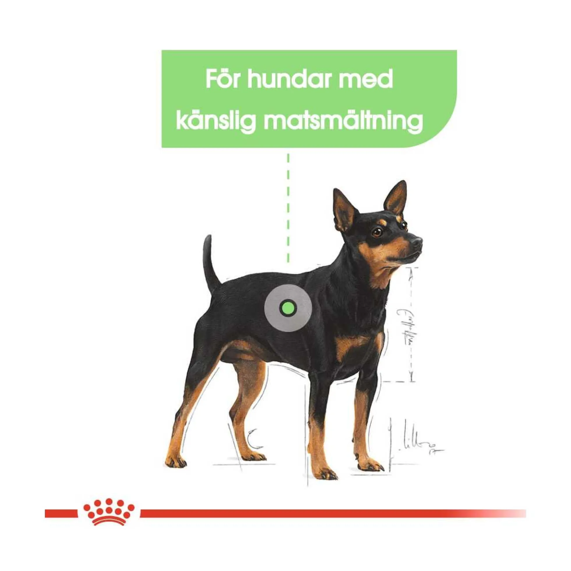 Royal Canin Digestive Care Mini