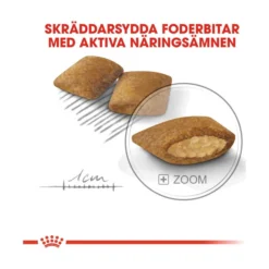 Royal Canin Exigent Mini