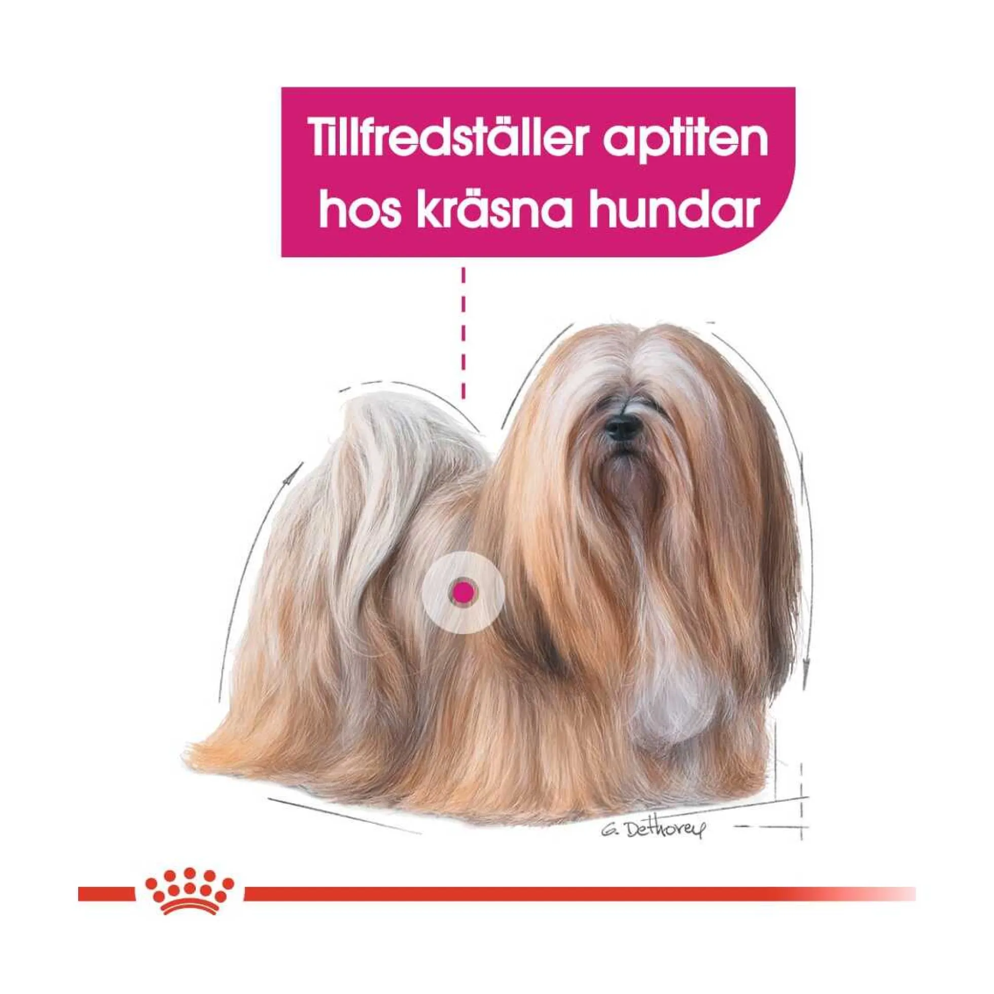 Royal Canin Exigent Mini