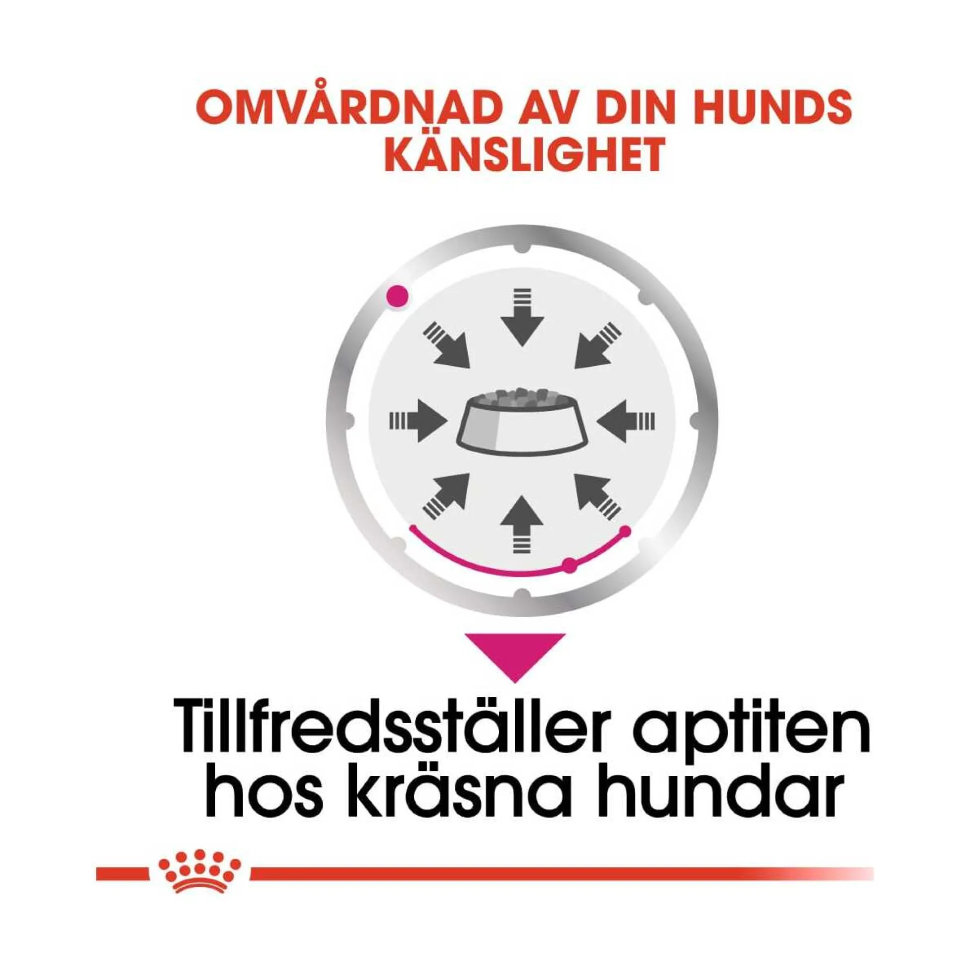 Royal Canin Exigent Wet