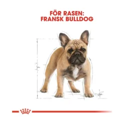 Royal Canin French Bulldog Adult