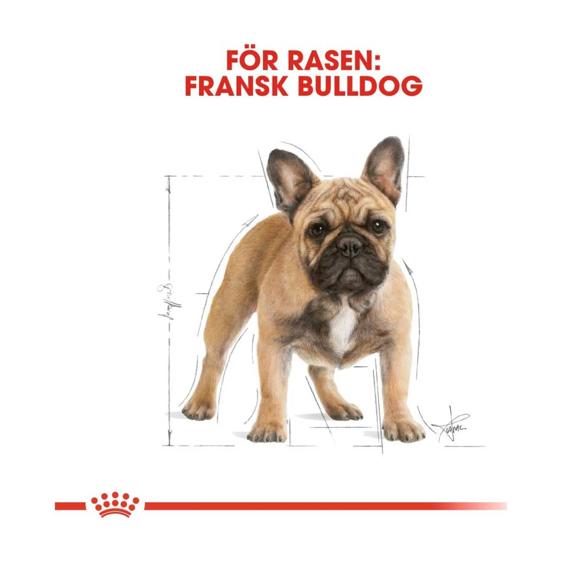 Royal Canin French Bulldog Adult