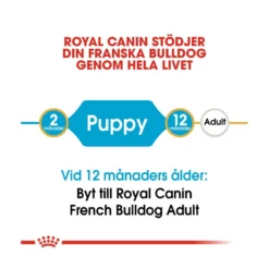 Royal Canin French Bulldog Puppy