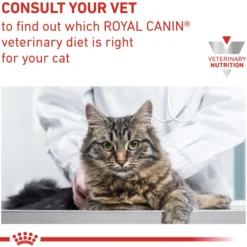 Royal Canin Gastrointestinal Hairball Torrfoder för Katt