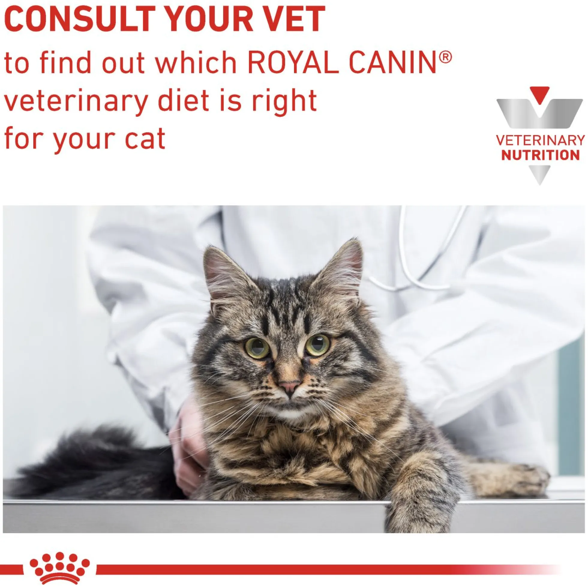 Royal Canin Gastrointestinal Hairball Torrfoder för Katt