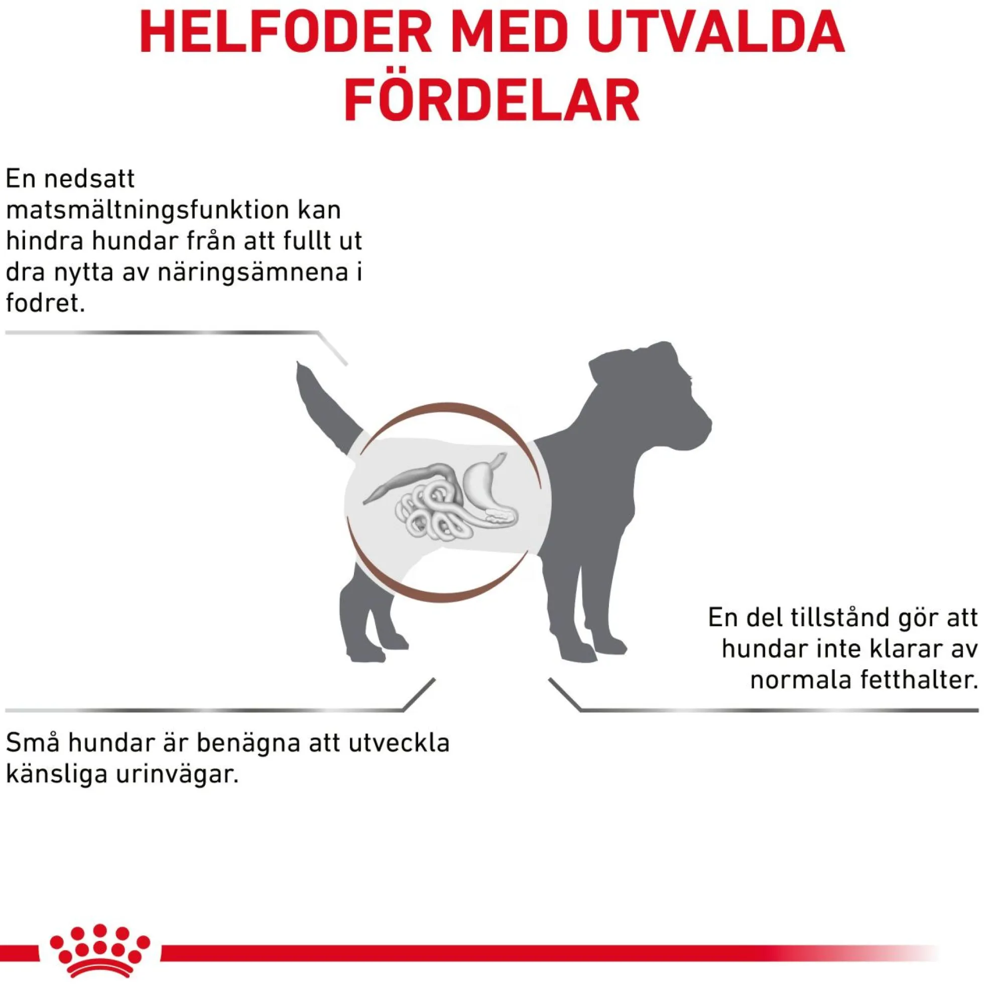 Royal Canin Gastrointestinal Low Fat Small Dog Torrfoder till Hund