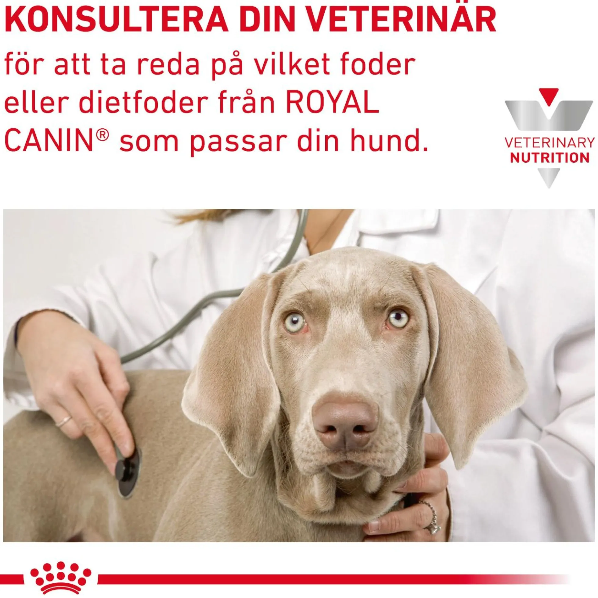 Royal Canin Gastrointestinal Low Fat Small Dog Torrfoder till Hund