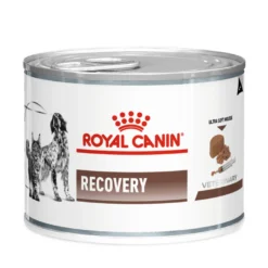 Royal Canin Gastro Intestinal Recovery Ultra Soft Mousse Can Våtfoder för Katter Och Hundar