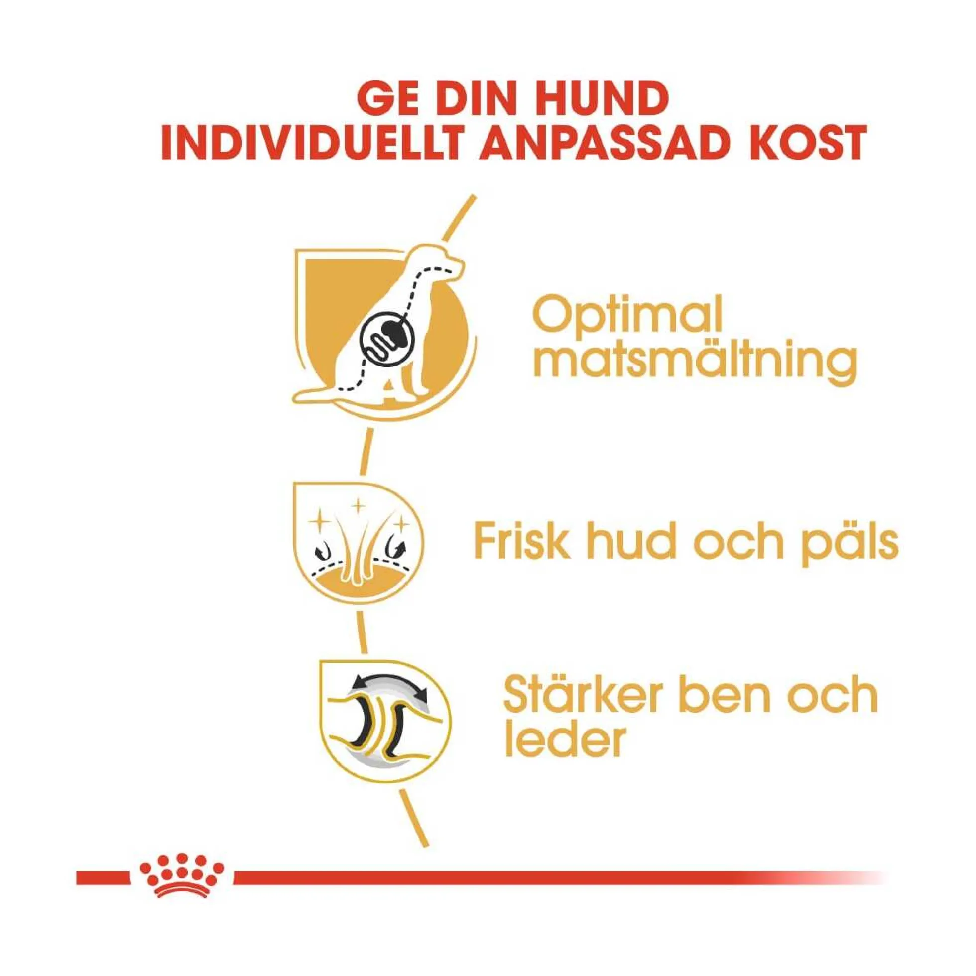 Royal Canin German Shepherd Adult