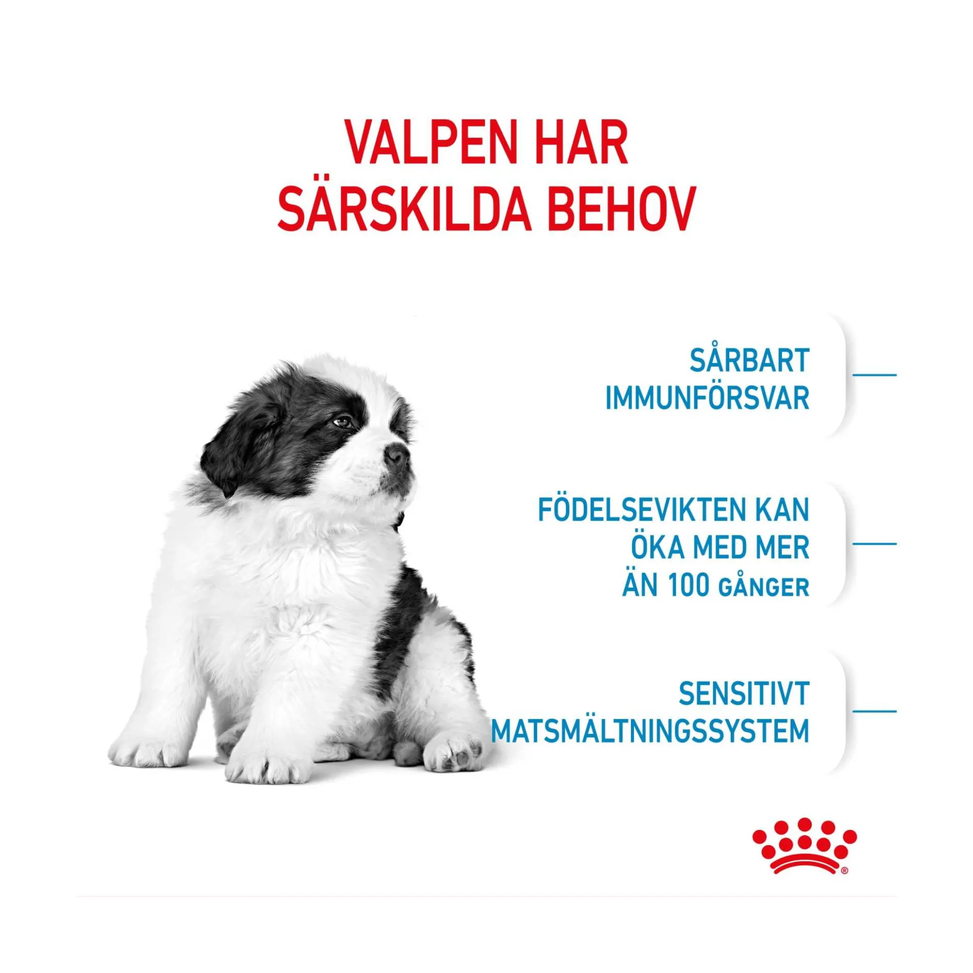 Royal Canin Giant Puppy
