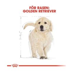 Royal Canin Golden Retriever Puppy