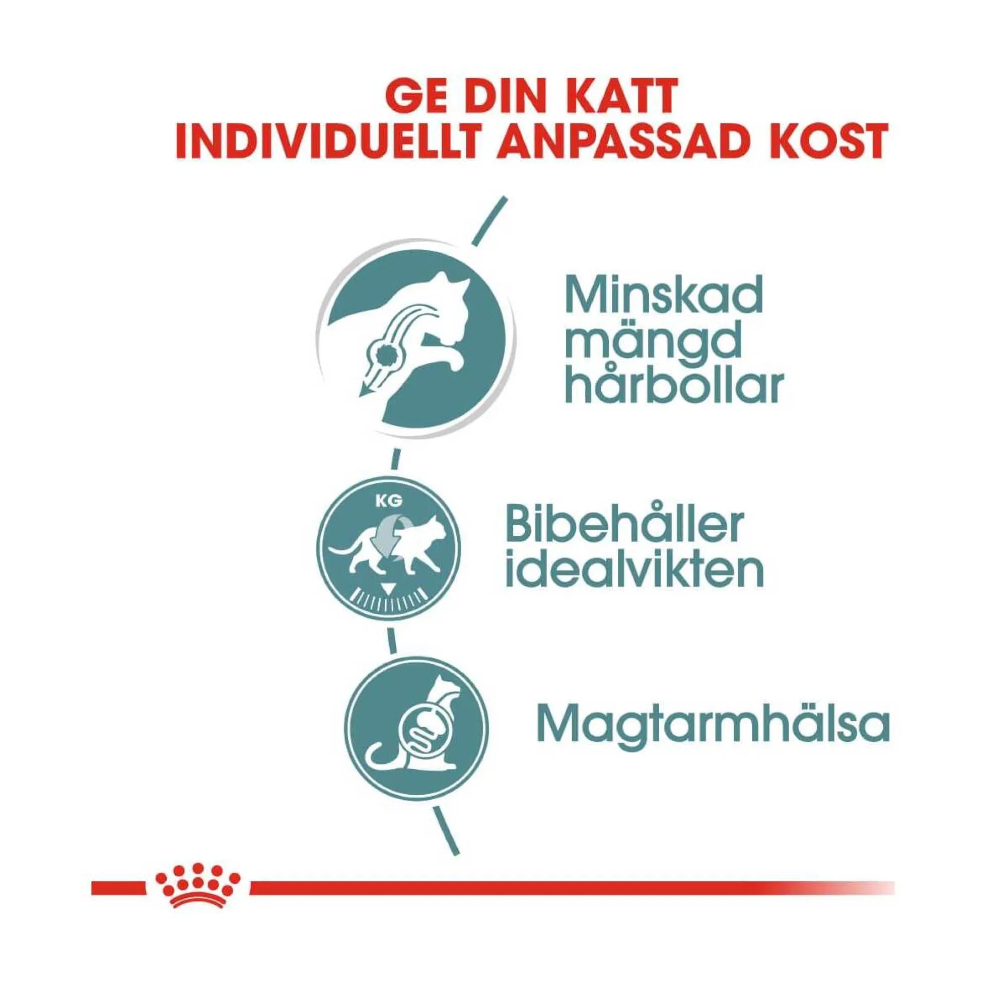 Royal Canin Hairball Care Gravy