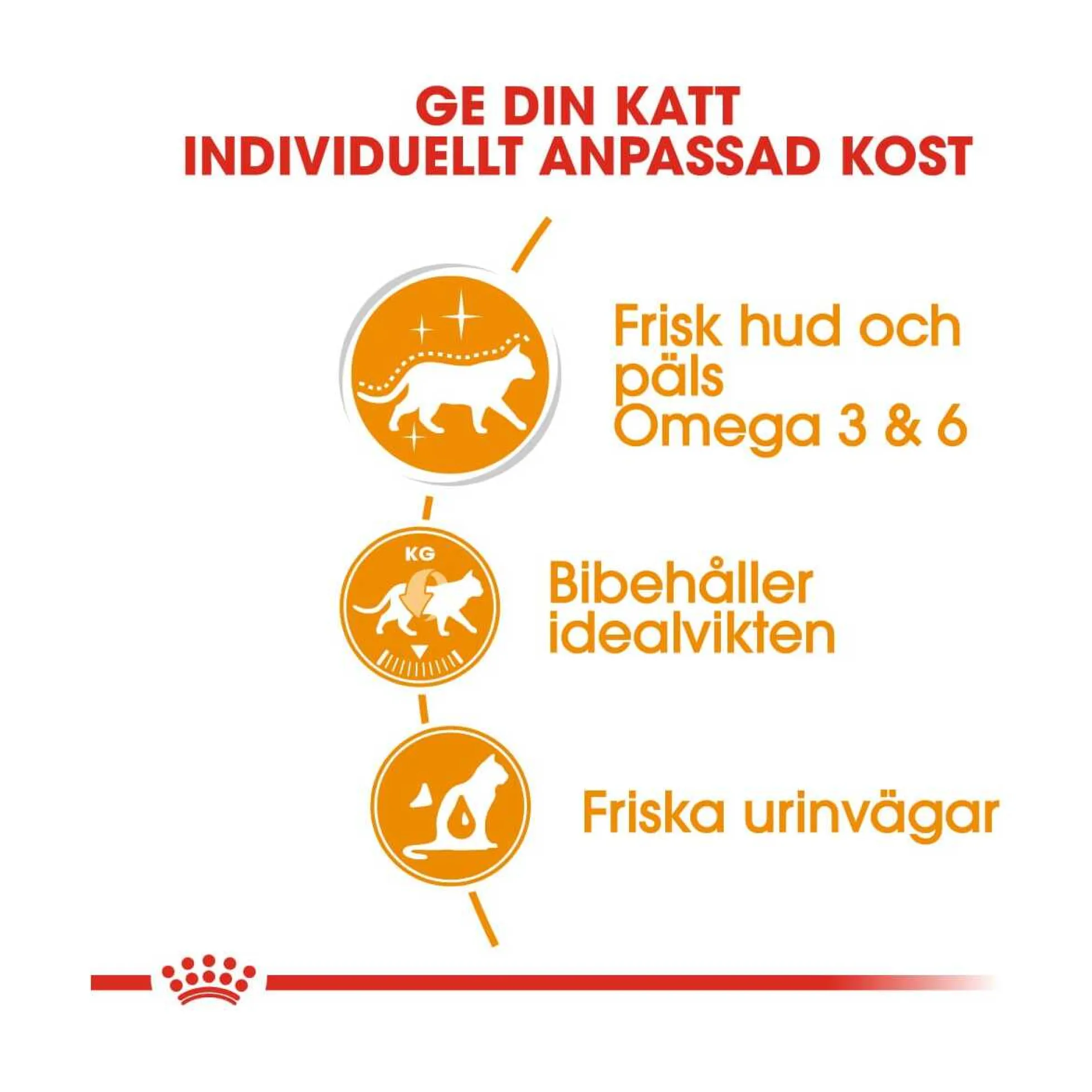 Royal Canin Hair & Skin Care Jelly