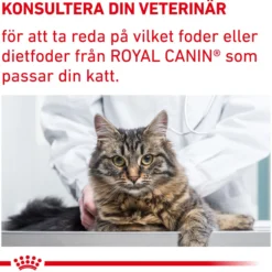 Royal Canin Health Neutered Balance Våtfoder för Katt