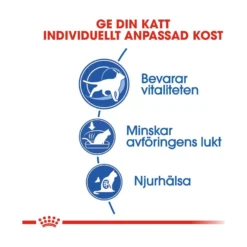 Royal Canin Indoor 7+