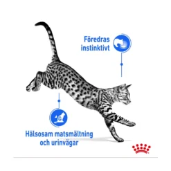Royal Canin Indoor Gravy