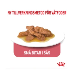 Royal Canin Indoor Gravy